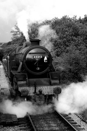 Full Steam Ahead sm.jpg